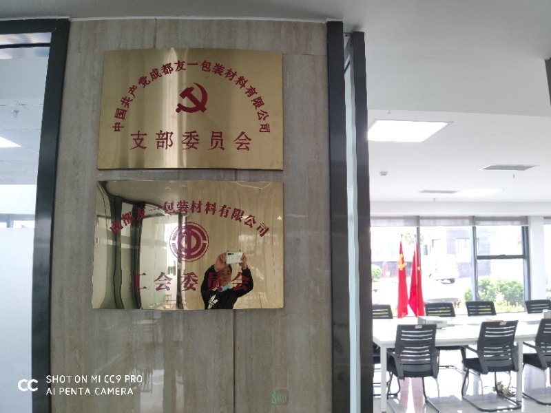 热烈祝贺4008云顶集团集团成都分公司党支部在2020年3月11日授牌成立，支部书记曹云(行政部经理)